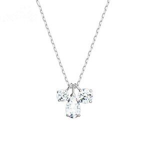 Swarovski Silver Charm Drop Necklace